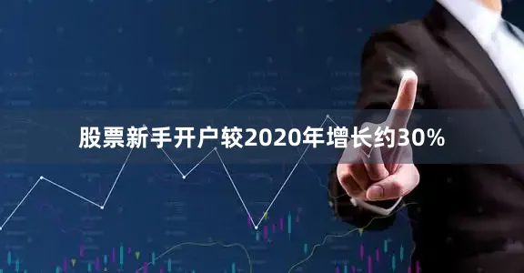 股票新手开户较2020年增长约30%